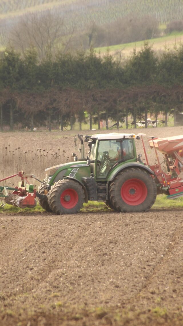 Ohne Gerste kein Bier 🍺🌾
Heute wird Sommerbraugerste gesät – alles beginnt hier auf dem Feld.

#bierbeginntaufdemfeld #braugerste #sommergerste #landwirtschaft #ackerbau